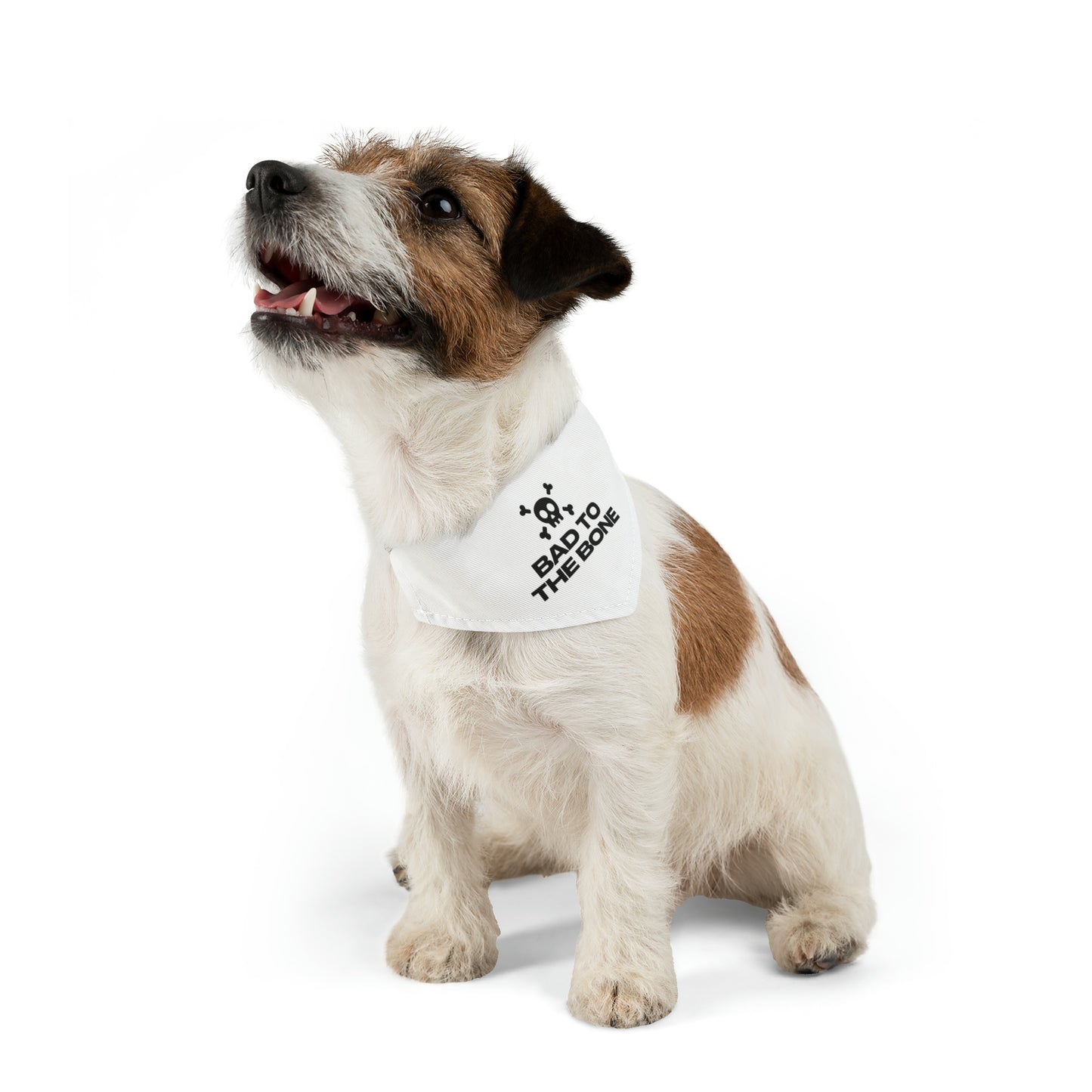 Bad To The Bone Pet Bandana Collar (White)