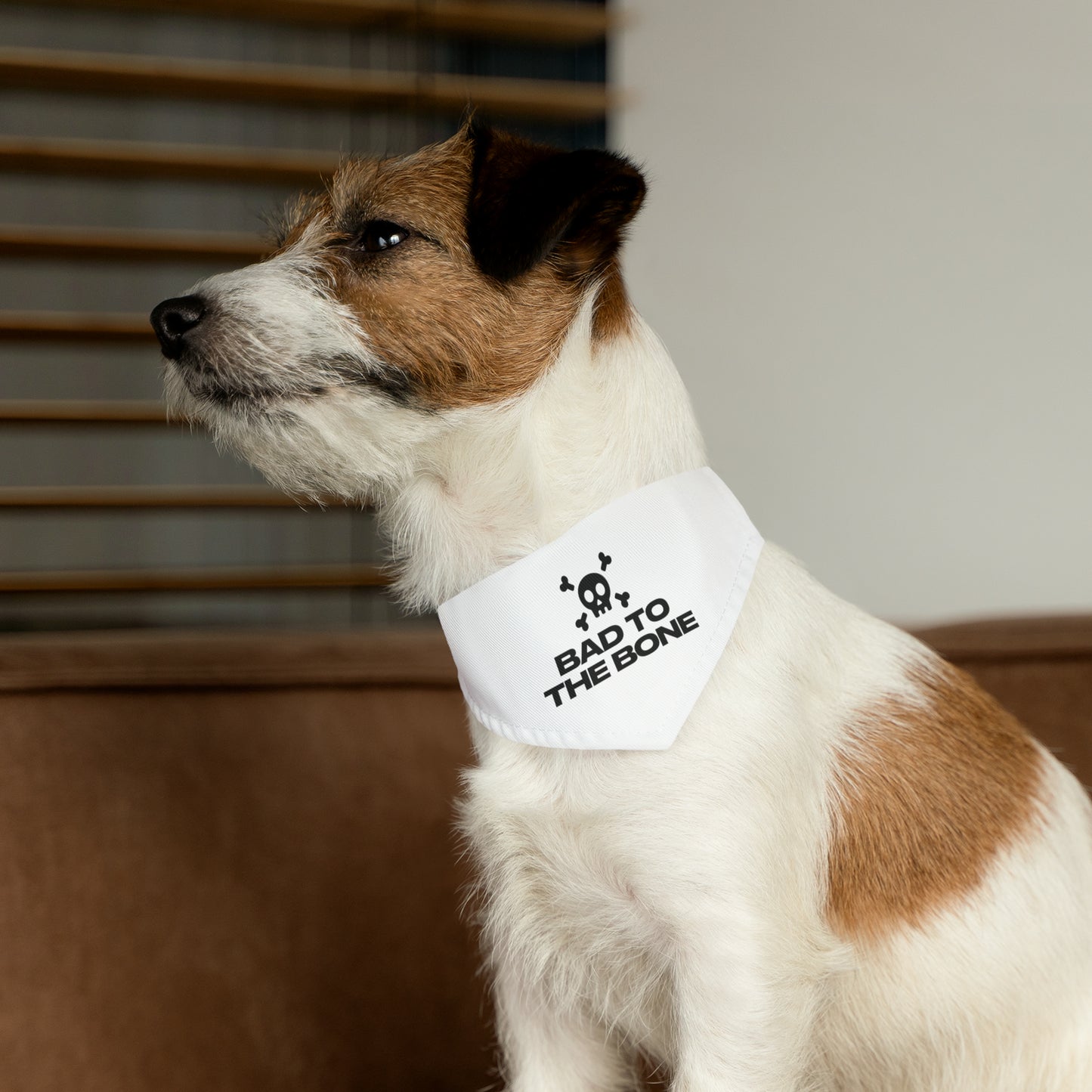 Bad To The Bone Pet Bandana Collar (White)